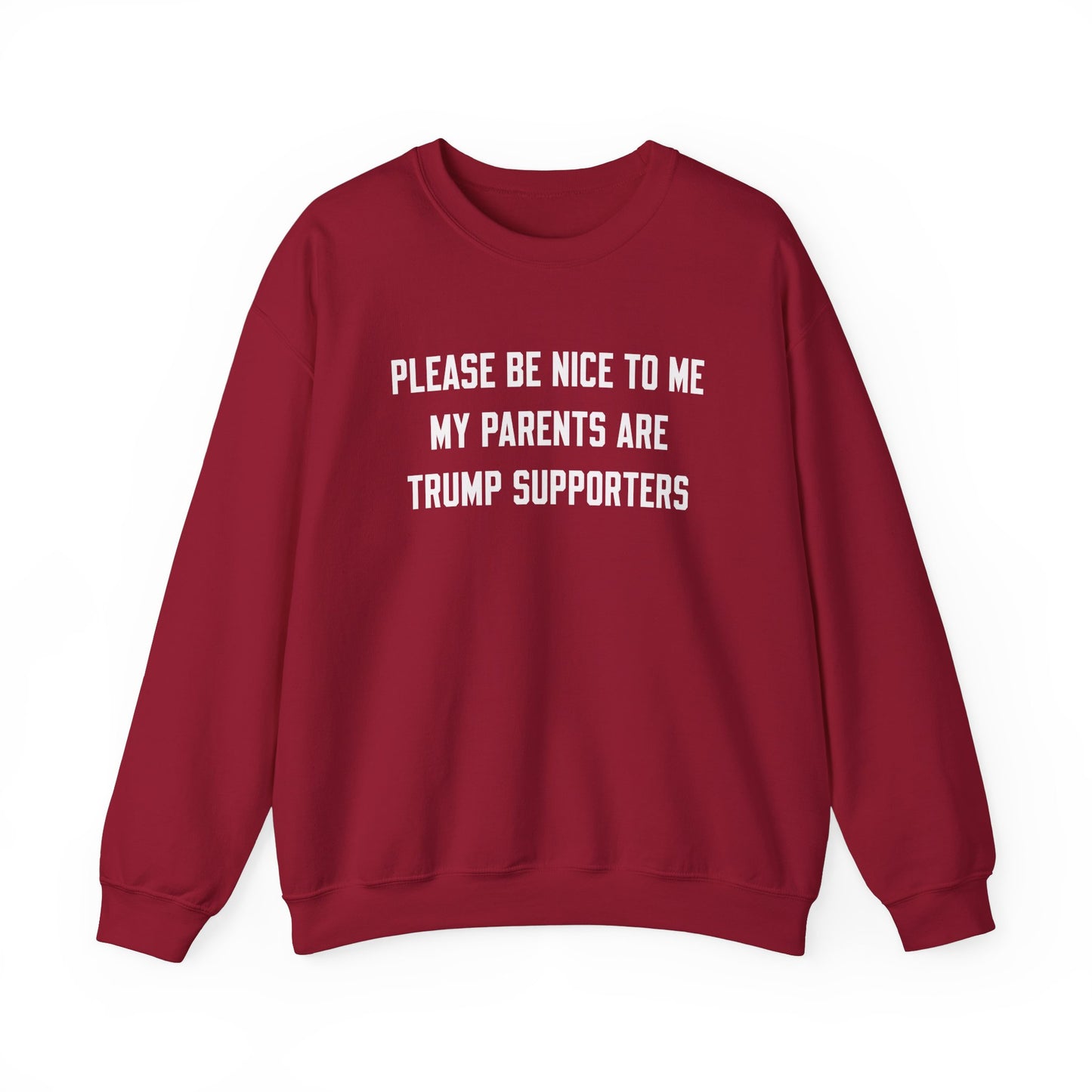 Please Be Nice To Me My Parents Are Trump Supporters