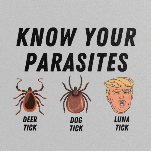 KNOW YOUR PARASITES TRUMP