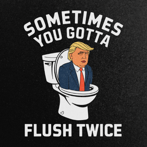 SOMETIMES YOU GOTTA FLUSH TWICE